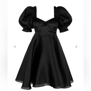 Selkie Caviar Silk Satin Full Cup Parliament Dress size L. NWT never worn.